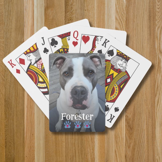 Jeu De Cartes Modèle de photo pleine mémoire d'animal de compagn (Créateur téléchargé)