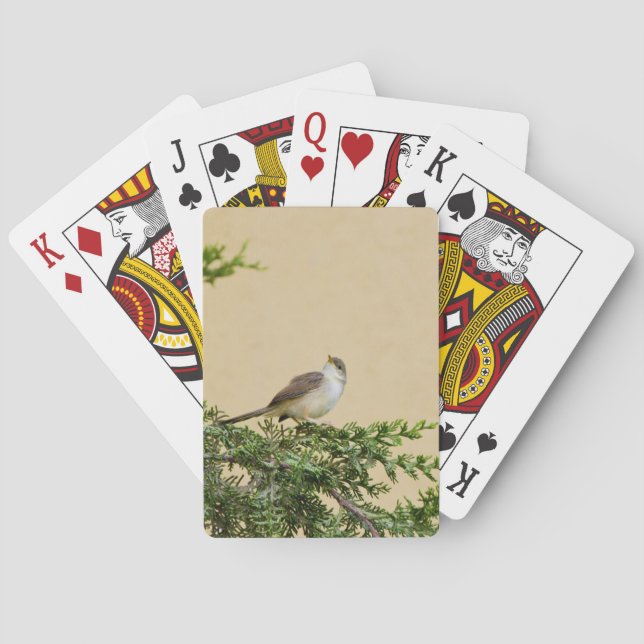 Jeu De Cartes Moineau  (dos)