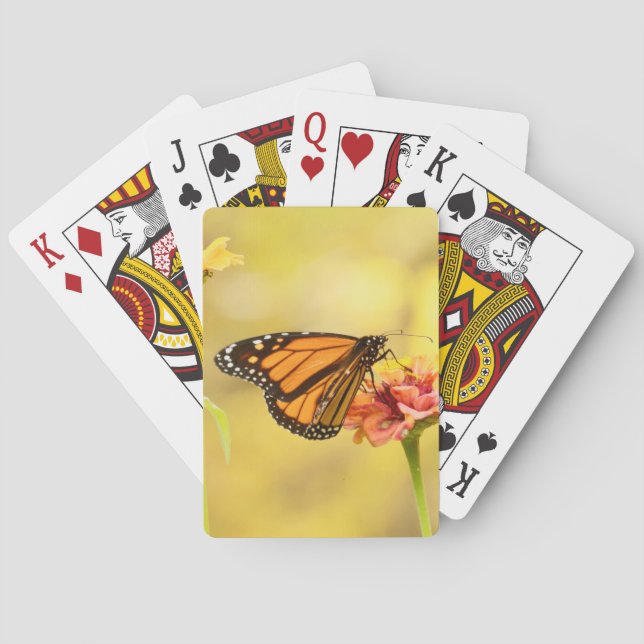 Jeu De Cartes Monarch Butterfly on Zinnia (dos)