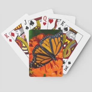 Jeu De Cartes Monarque