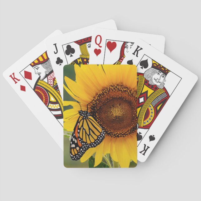 Jeu De Cartes Monarque Butterfies sur le tournesol (dos)