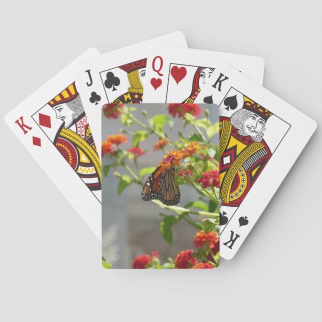 Jeu De Cartes Monarque papillon sur Buddleia rouge (dos)