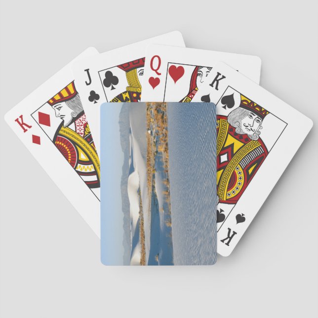 Jeu De Cartes Monument national de White Sands, Dunes transversa (dos)