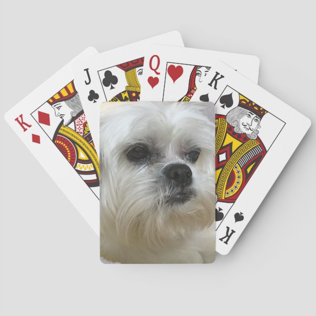 Jeu De Cartes Mookee le chien de Lhasa Apso (dos)
