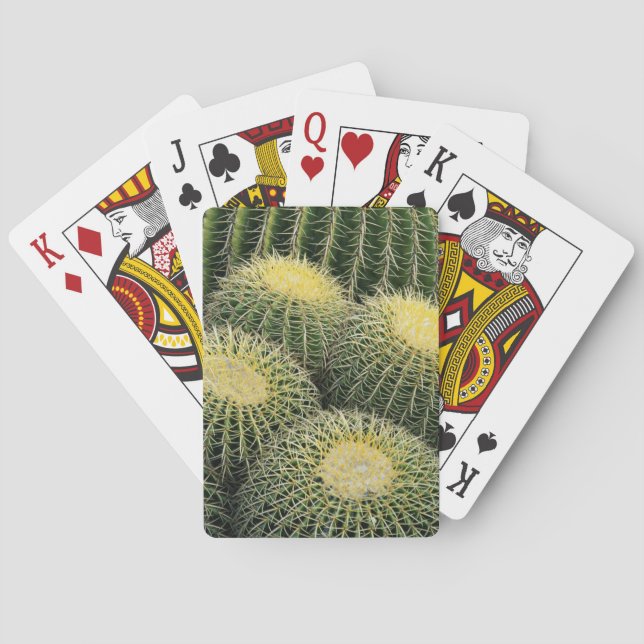 Jeu De Cartes Motif de cactus (dos)