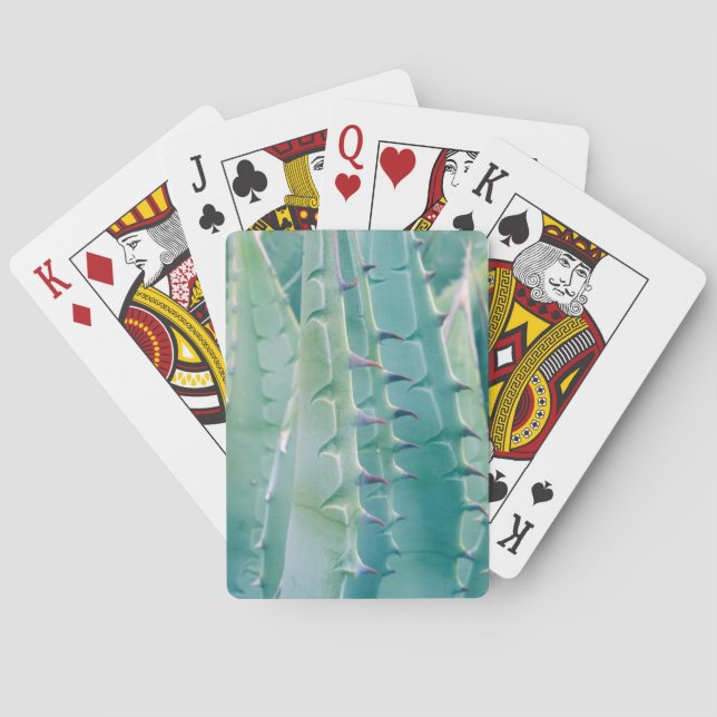 Jeu De Cartes Motifs d'une plante d'Agave (dos)