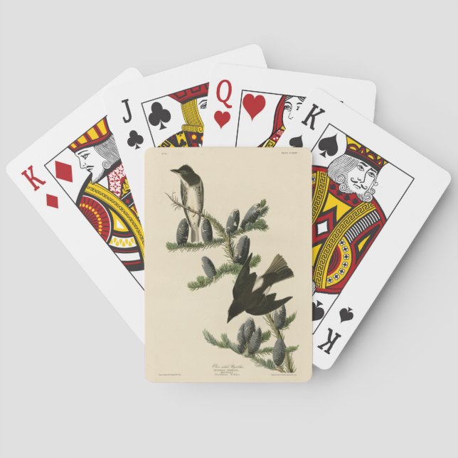 Jeu De Cartes Moucherolle à face olive, les oiseaux d'Amérique d (dos)