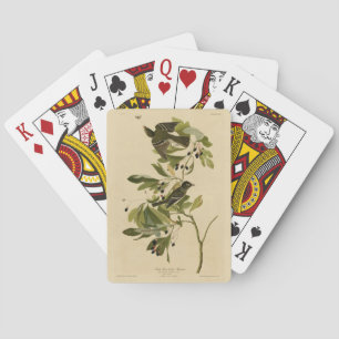 Jeu De Cartes Moucherolle acadien des oiseaux d'Amérique d'Audub