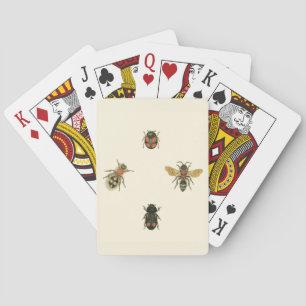 Jeu De Cartes Mouches et coléoptères par Vision Studio