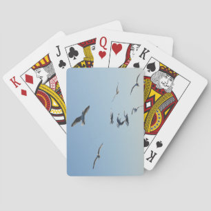 Jeu De Cartes Mouettes en vol Faune côtière   Oiseau de mer