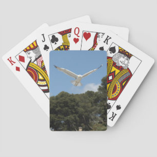 Jeu De Cartes Mouettes Jouant Des Cartes