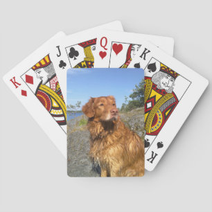 Jeu De Cartes mouillé