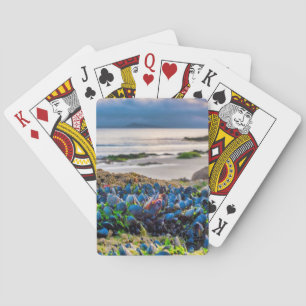 Jeu De Cartes Moules