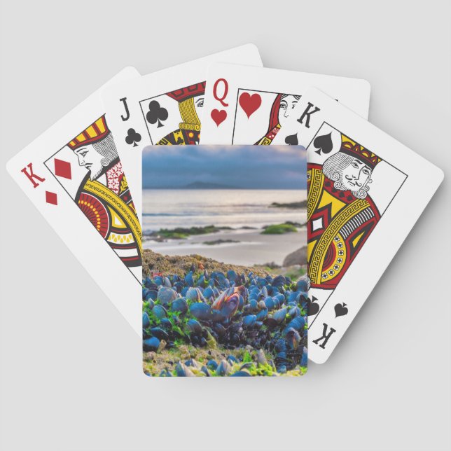 Jeu De Cartes Moules (dos)