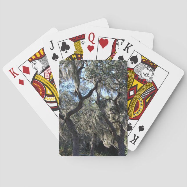 Jeu De Cartes Mousse espagnole de Floride (dos)