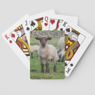Jeu De Cartes Mouton des Shetland