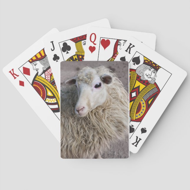 Jeu De Cartes Mouton drôle (dos)