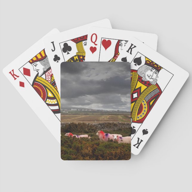 Jeu De Cartes Moutons colorés (dos)