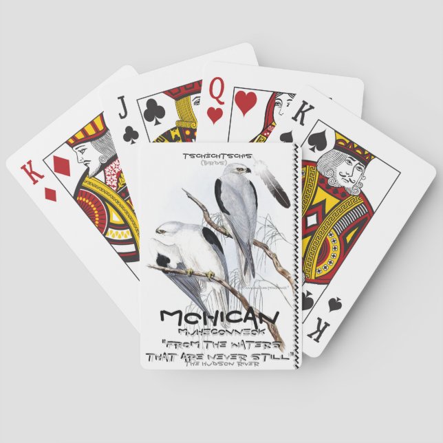 Jeu De Cartes "Muheconneok~ les eaux qui ne sont jamais encore" (dos)