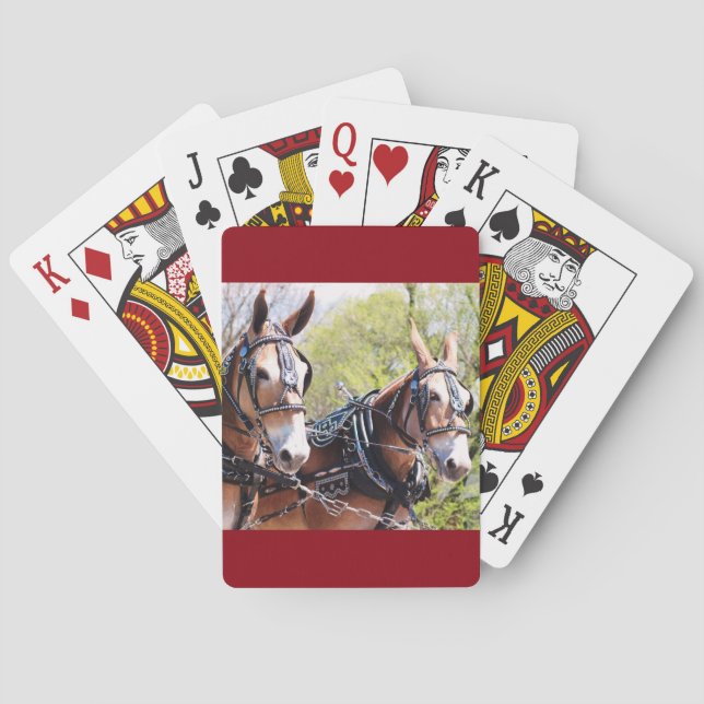 Jeu De Cartes Mule Days in Columbia, TN (dos)