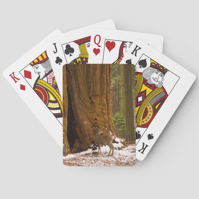 Jeu De Cartes Mule Deer (dos)