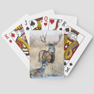 Jeu De Cartes Mule Deer Buck and Doe