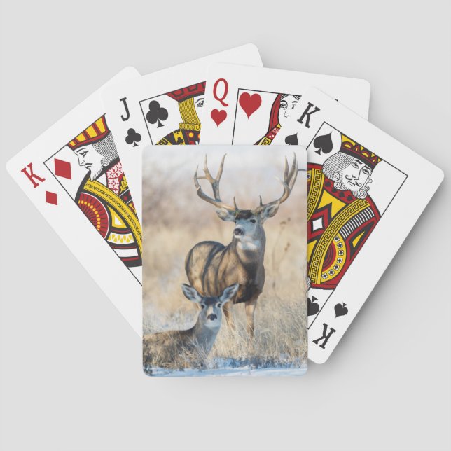 Jeu De Cartes Mule Deer Buck and Doe (dos)