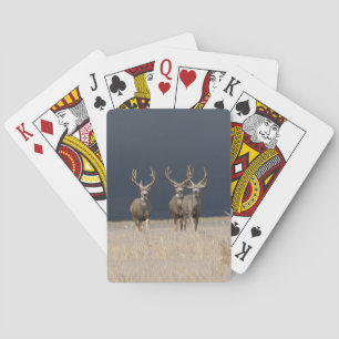 Jeu De Cartes Mule Deer Bucks Vélo Playceur Cartes