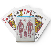 Muscle n corps jouant aux cartes