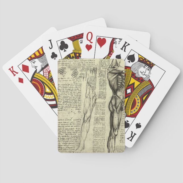 Jeu De Cartes Muscles humains anatomiques de Léonard de Vinci (dos)
