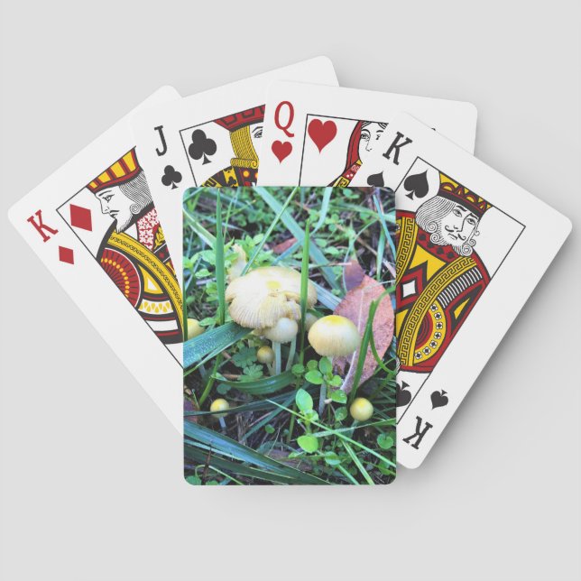 Jeu De Cartes Mushrooms de l'Oregon (dos)