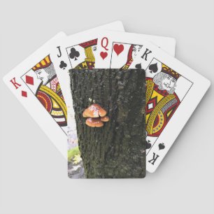 Jeu De Cartes Mushrooms on a tree, Oregon