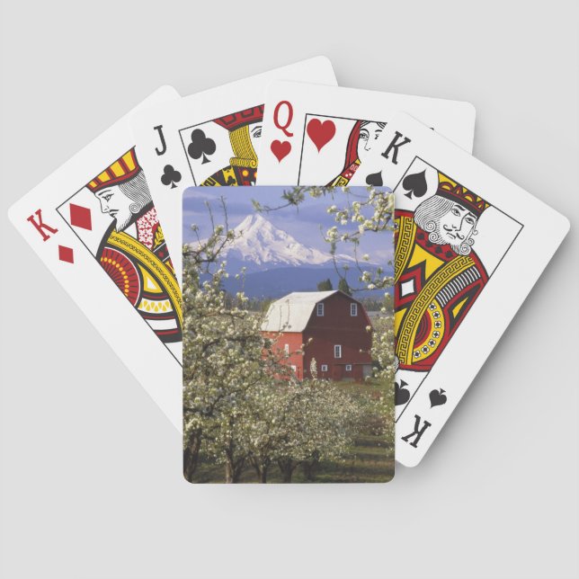 Jeu De Cartes N.A., États-Unis, Oregon, comté de Hood River. Rou (dos)