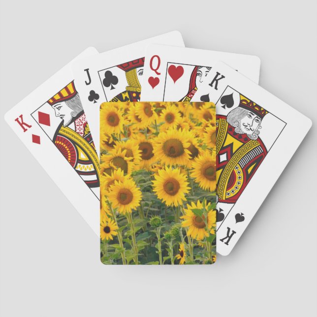 Jeu De Cartes Na, États-Unis, Colorado, tournesols (dos)