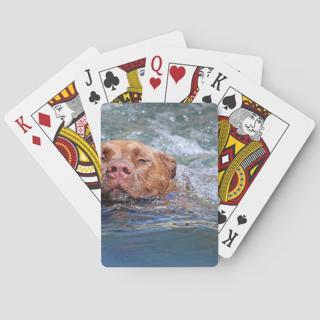 Jeu De Cartes Natation de chien (dos)