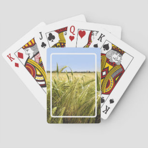 Jeu De Cartes Nature botanique du grain de seigle