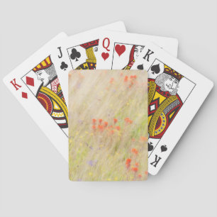 Jeu De Cartes Nature Conservancy Îles San Juan, WA