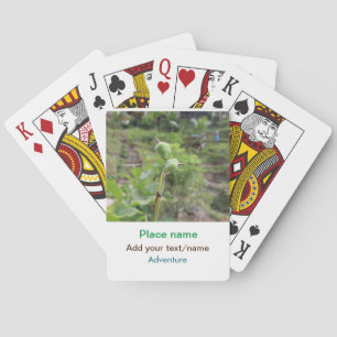 Jeu De Cartes Nature plante photographie plage eau nom de voyage