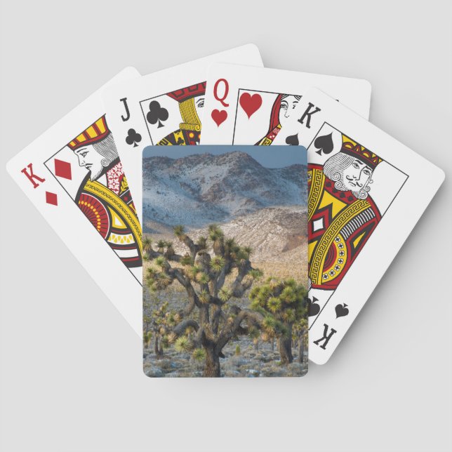 Jeu De Cartes Neige dans la vallée de la mort (dos)