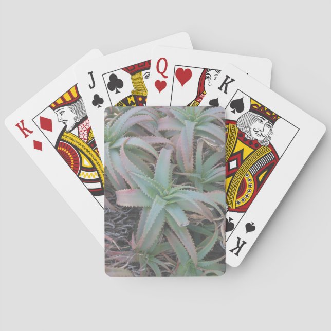 Jeu De Cartes Nevada succulents (dos)