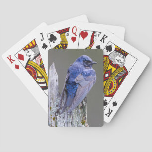 Jeu De Cartes Nid de mâle Purple Martin au-dessus du lac Sammami