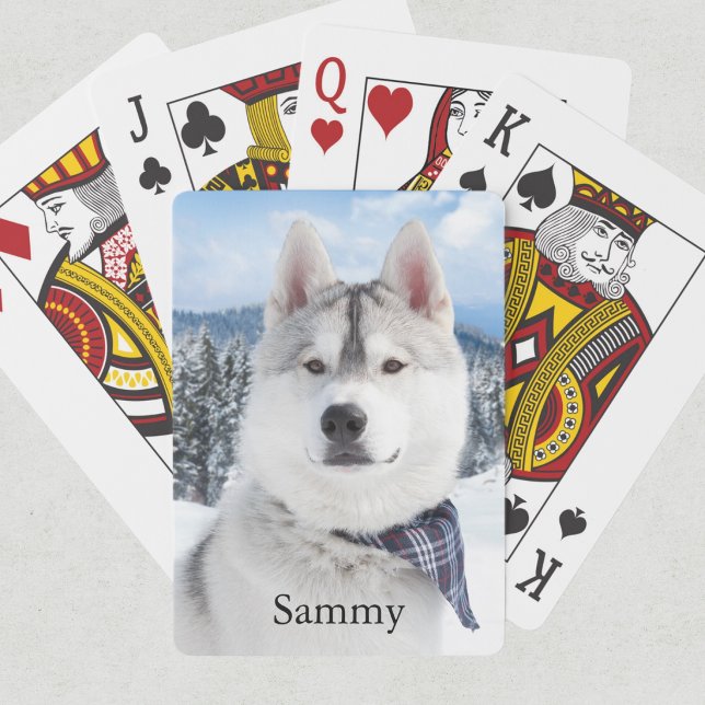 Jeu De Cartes Nom de la photo de l'animal  (Créateur téléchargé)