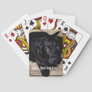 Jeu De Cartes Nom noir personnalisé de photo de chien de