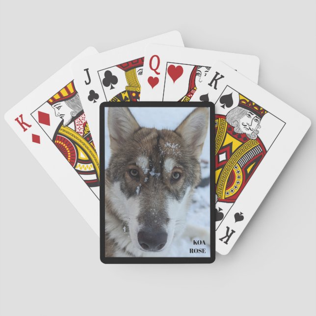 Jeu De Cartes Nom Wolf Jouer des cartes (dos)