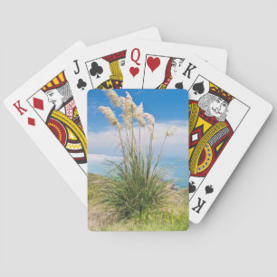 Jeu De Cartes Nouvelle-Zélande, île du Nord, cap Reinga
