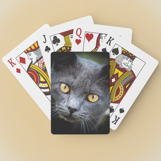 Jeu De Cartes Num-Num le chat de quartier (Créateur téléchargé)