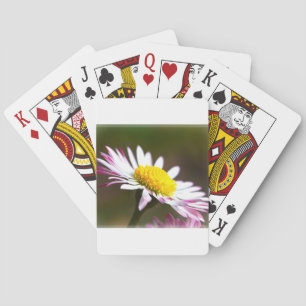 Jeu De Cartes nuptiale romantique roman de beaux pétales de