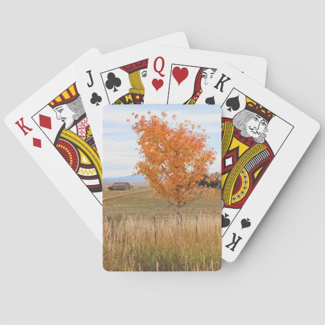 Jeu De Cartes Octobre lumineux  (dos)