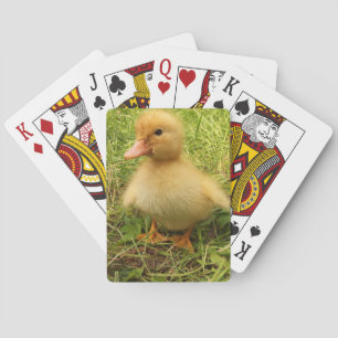 Jeu De Cartes oiseau, canard, canard, jaune, nature, mignonette,