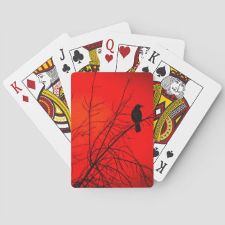 Jeu De Cartes Oiseau Corbeau Dramatique dans l'Arbre Photographi